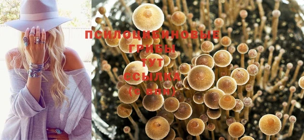 марихуана Алексин